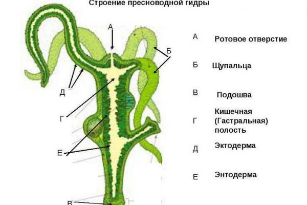 Кракен сайт ссылка kr2web in