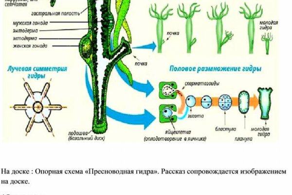 Кракен маркетплейс ссылка krakenat2krnkrnk com