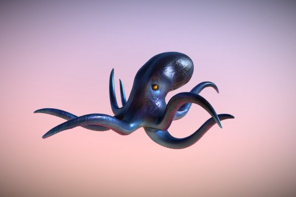Как найти kraken