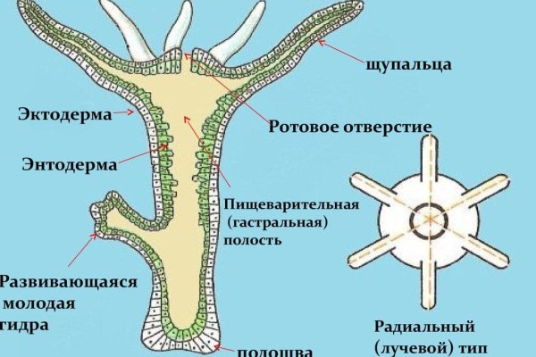 Кракен даркнет зеркало
