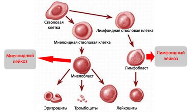 Кракен не работает сайт