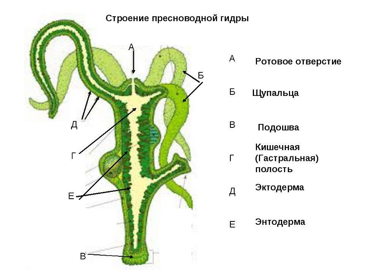Кракен сайт купить наркотики
